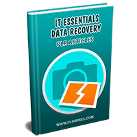 it essentials data recovery plr articles