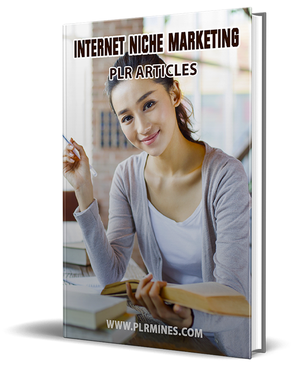 internet niche marketing plr articles