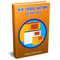 mini storage auctions plr articles
