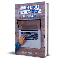setting up your website plr articles