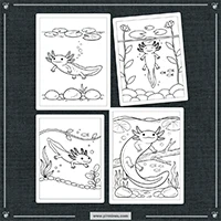Axolotls Coloring PLR mockup 1