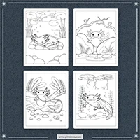 Axolotls Coloring PLR mockup 4