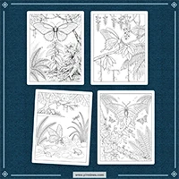 Exotic Butterflies Coloring PLR mockup 1