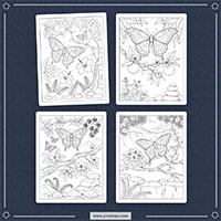 Exotic Butterflies Coloring PLR mockup 2