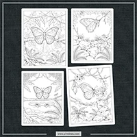 Exotic Butterflies Coloring PLR mockup 5