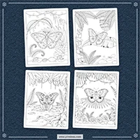 Exotic Butterflies Coloring PLR mockup 6