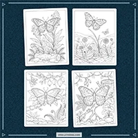 Exotic Butterflies Coloring PLR mockup 7