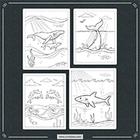 Ocean Animal Coloring PLR mockup 1