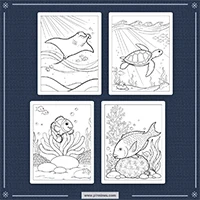 Ocean Animal Coloring PLR mockup 2