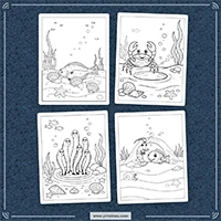 Ocean Animal Coloring PLR mockup 6