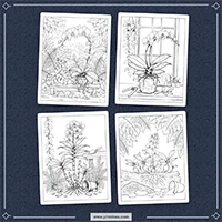 Orchid Coloring PLR mockup 2