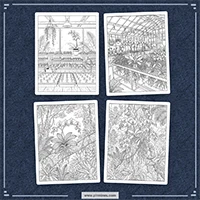 Orchid Coloring PLR mockup 5