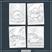 Realistic Guinea Pig Coloring PLR mockup 1