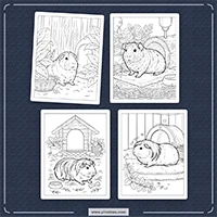 Realistic Guinea Pig Coloring PLR mockup 2