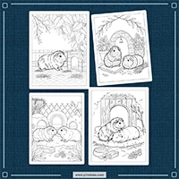 Realistic Guinea Pig Coloring PLR mockup 3