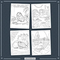 Realistic Guinea Pig Coloring PLR mockup 7