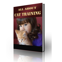 all about cat training