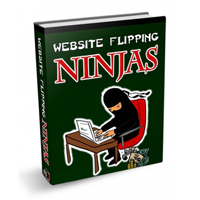 website flipping ninjas