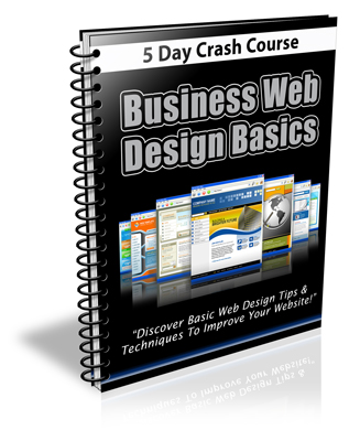business web design basics course