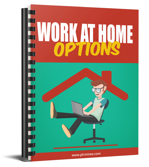 Work at Home Options - eBook With Private Label License work home options
