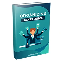 organizing excellence ebook plr