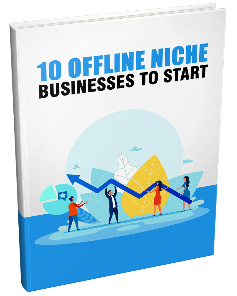 3D mockup of 'Offline Niche Businesses to Start' PLR eBook on profitable local and offline ventures.