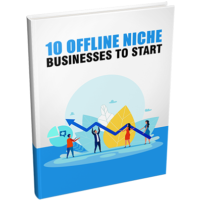 3D mockup of 'Offline Niche Businesses to Start' PLR eBook on profitable local and offline ventures.