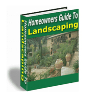 homeowners guide landscaping