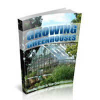 growing plants your own greenhouse