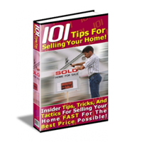 basics tips selling your home