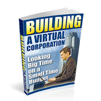 building virtual corporation