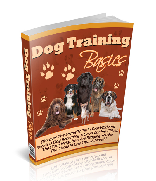 Dog Training Basics - eBook with Resale Rights dog training basics
