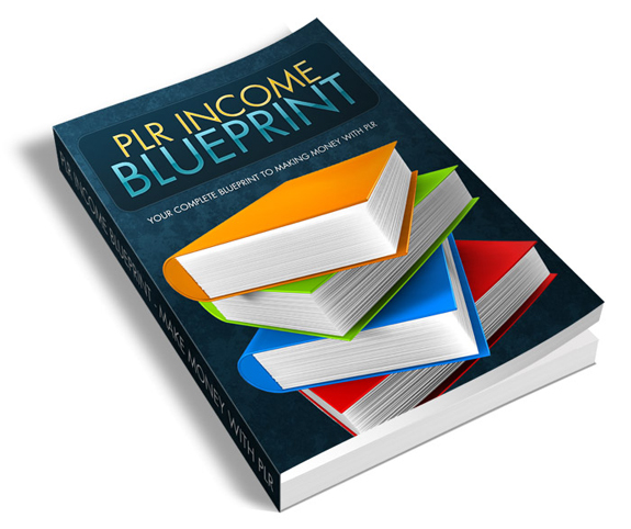 PLR Income Blueprint Resale Rights eBook plr income blueprint