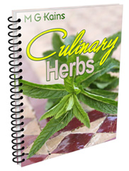 culinary herbs