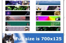 success graphics web design package