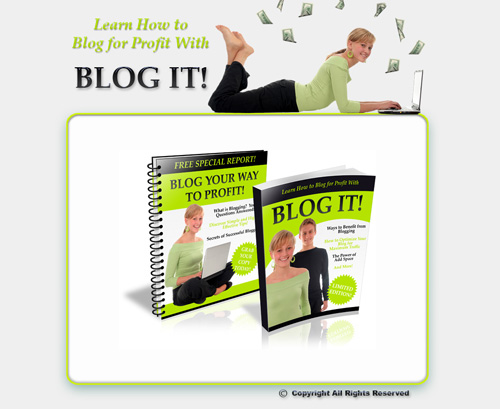 blog it minisite