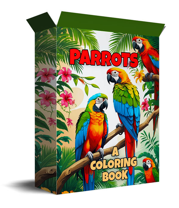 coloring parrot sheets - PLR graphics