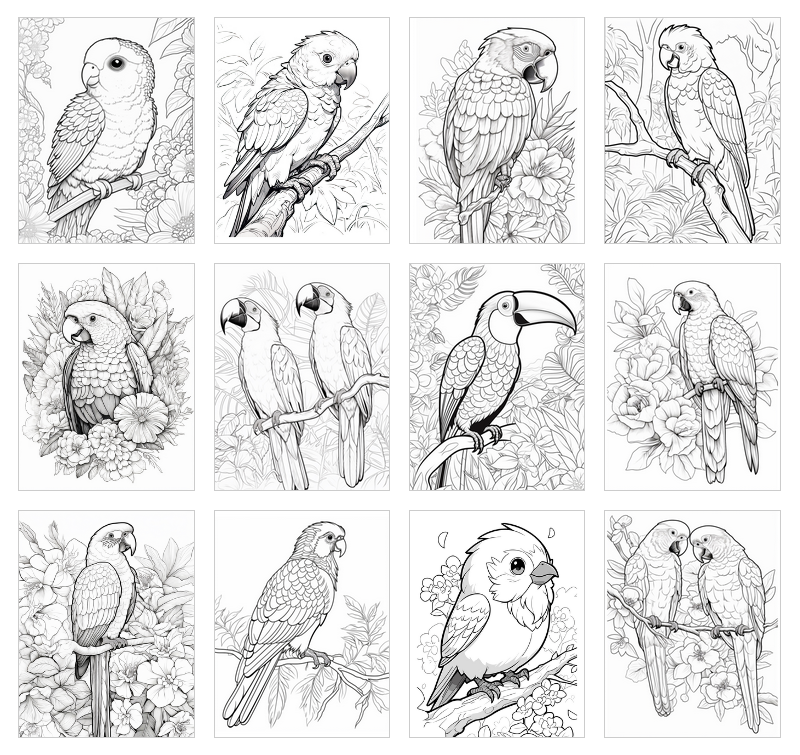 parrot coloring sheets kids