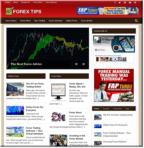 forex plr niche blog