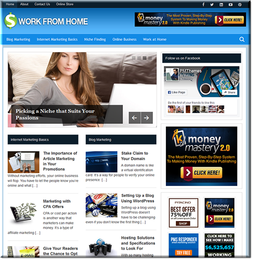working home plr blog