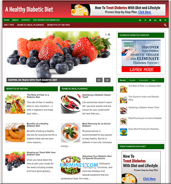 diabetic diet PLR website