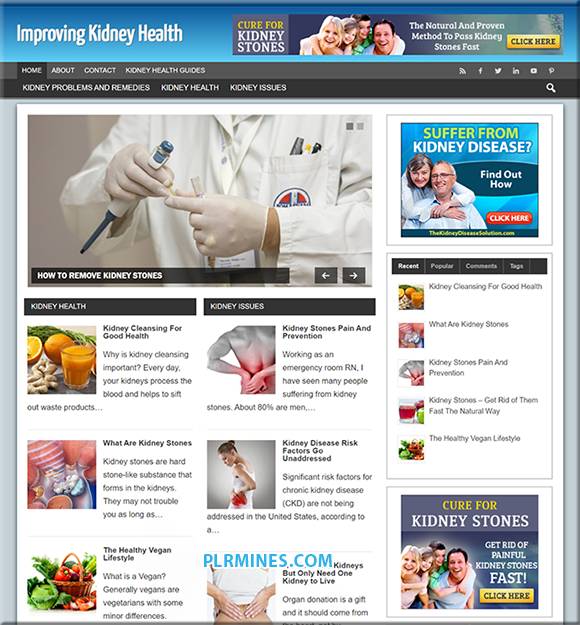 kidney health PLR blog