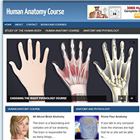 human anatomy PLR blog