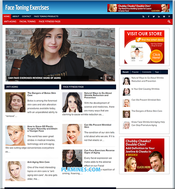 face fitness plr wordpress blog