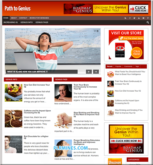 path genius niche plr blog