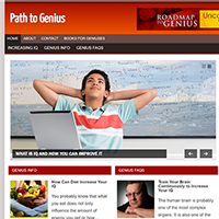 path genius niche plr blog