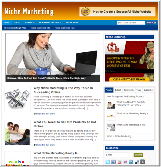 niche marketing plr site