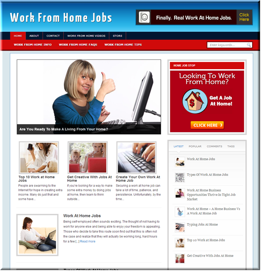 work home jobs plr