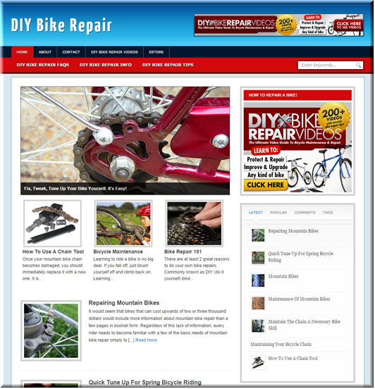 diy bike repair niche blog