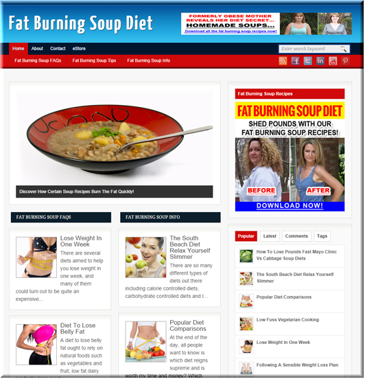 soup diet turnkey site